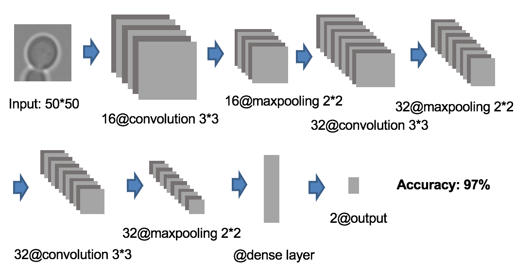 CNN structure